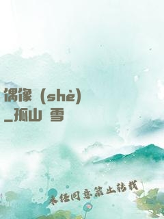 偶像設(shè)計師
