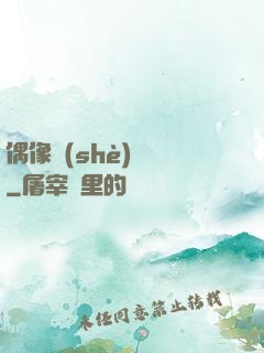 偶像設(shè)計師