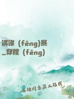 偶像風(fēng)暴