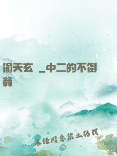 偷天玄師