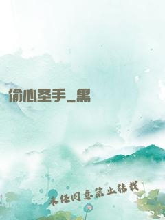 偷心圣手