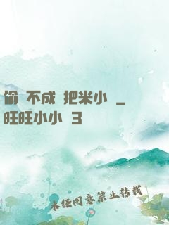 偷雞不成蝕把米小說