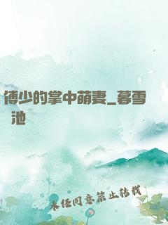 傅少的掌中萌妻