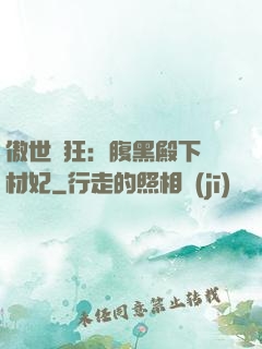 傲世鳳狂：腹黑殿下廢材妃