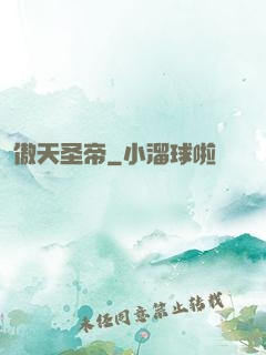 傲天圣帝