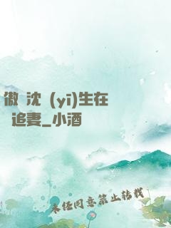 傲嬌沈醫(yī)生在線追妻