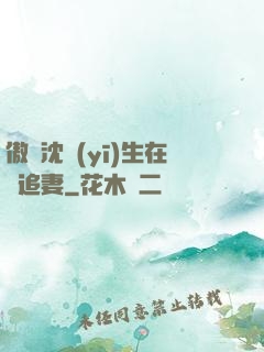 傲嬌沈醫(yī)生在線追妻