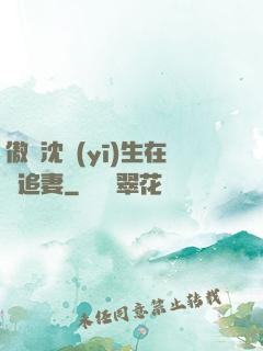 傲嬌沈醫(yī)生在線追妻