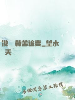 傲嬌總裁苦追妻