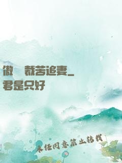 傲嬌總裁苦追妻