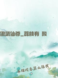 傲武仙尊