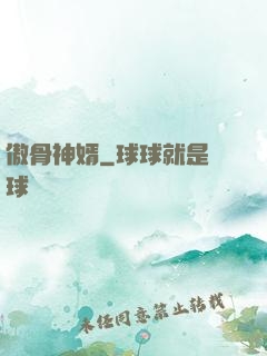 傲骨神婿