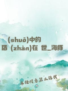 傳說(shuō)中的盾戰(zhàn)在異世