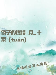 傻子的燃情歲月