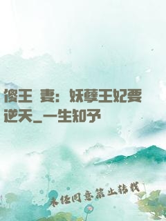 傻王寵妻：妖孽王妃要逆天