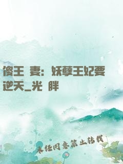 傻王寵妻：妖孽王妃要逆天