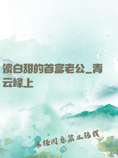 傻白甜的首富老公