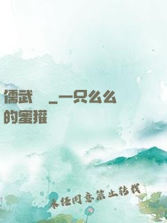 儒武爭鋒