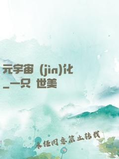 元宇宙進(jìn)化