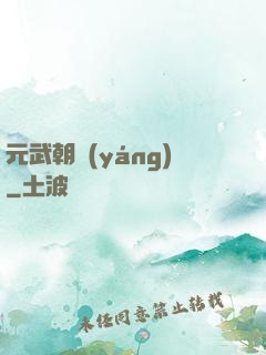 元武朝陽(yáng)
