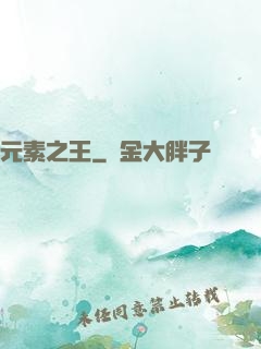 元素之王