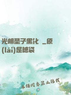 光明圣子黑化記