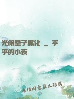 光明圣子黑化記