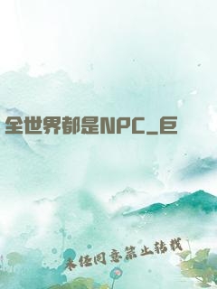 全世界都是NPC