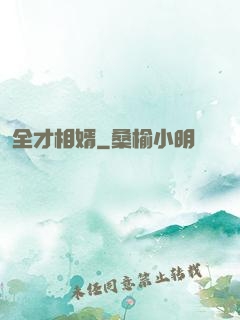全才相婿