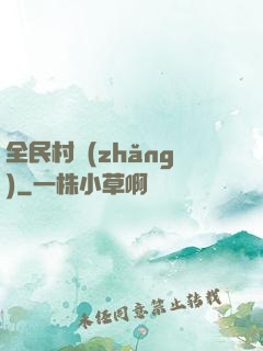 全民村長(zhǎng)