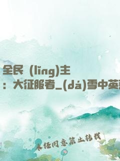 全民領(lǐng)主：大征服者