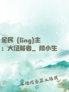 全民領(lǐng)主：大征服者