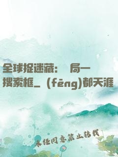 全球捉迷藏：開局一個搜索框