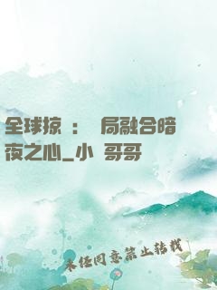 全球掠奪：開局融合暗夜之心