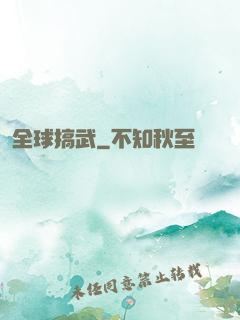 全球搞武