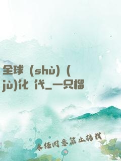 全球數(shù)據(jù)化時代