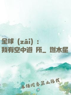 全球災(zāi)難：我有空中避難所