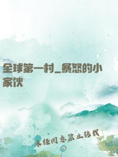 全球第一村
