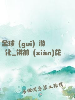 全球規(guī)則游戲化