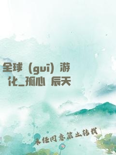 全球規(guī)則游戲化