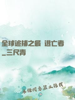 全球追捕之最強逃亡者