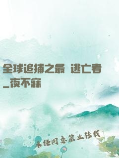 全球追捕之最強逃亡者
