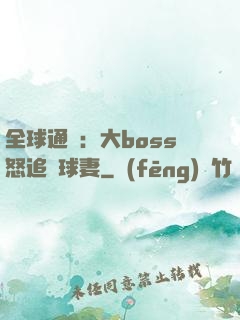 全球通緝：大boss怒追帶球妻