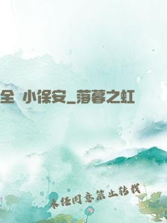 全職小保安