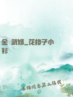 全職武婿