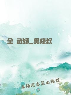 全職武婿