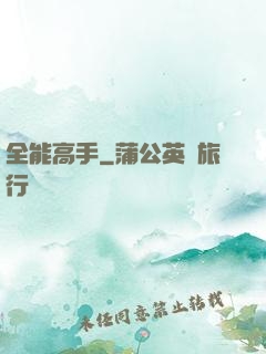 全能高手