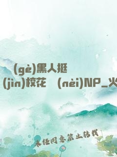 兩個(gè)黑人挺進(jìn)?；w內(nèi)NP