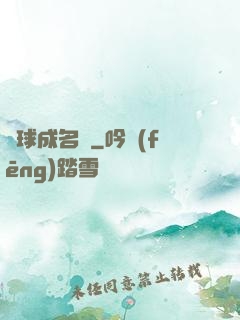 兩球成名記
