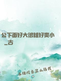 公下面好大很粗好爽小說